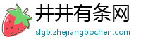 井井有条网